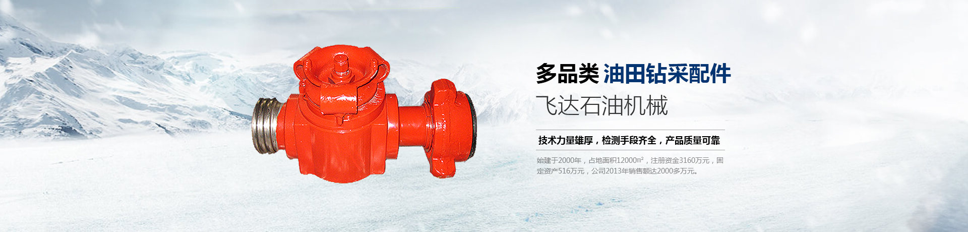 安阳市飞达石油机械有限公司
